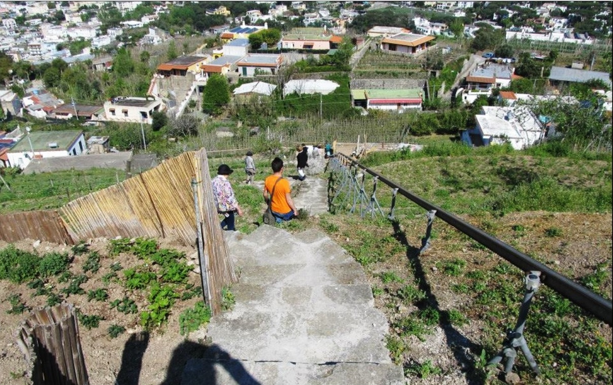 Stop All Attivita Di Ristorazione Per Il Giardino Mediterraneo Il Golfo 24